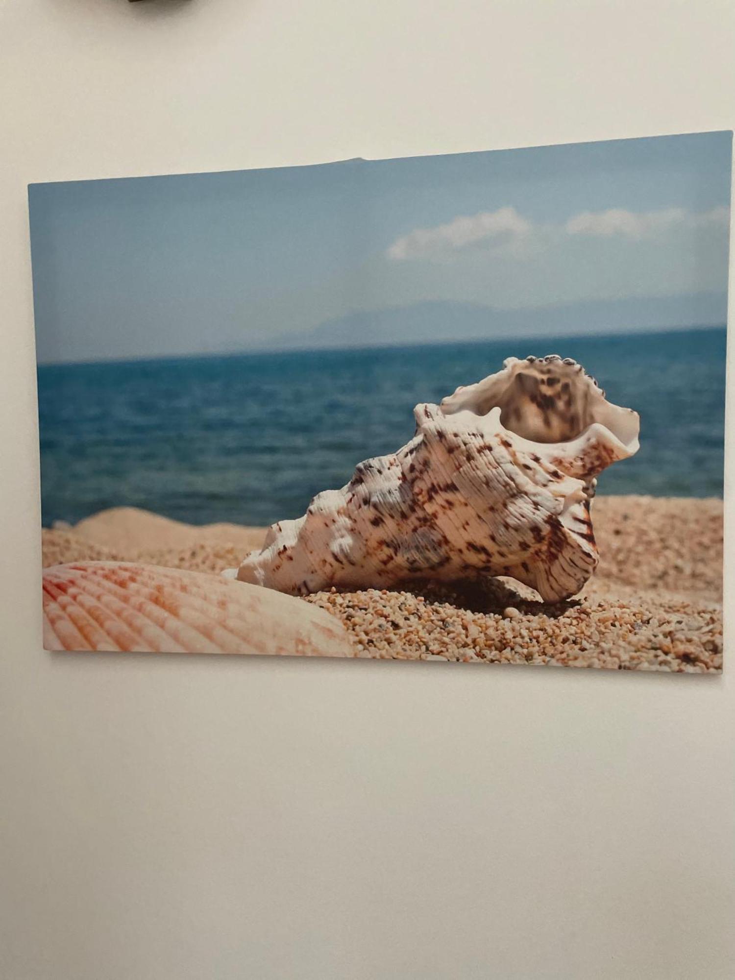 Case Vacanza Trappetodavivere Trappeto  Exteriör bild
